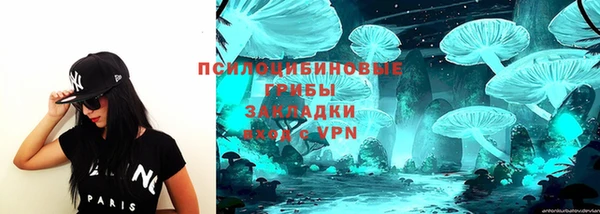 круглые Аркадак