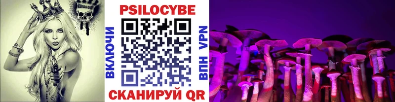 Купить где  Дедовск  Галлюциногенные грибы MAGIC MUSHROOMS 